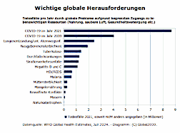 Balkendiagramm zur Anzahl der Todesf�lle durch globale Herausforderungen 2021. 