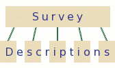 Survey and descriptions Graph: structure of survey and descriptions