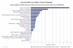 Minimized bar diagram on annual deaths from major global challenges. 