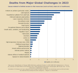 Minimized bar diagram on annual deaths from major global challenges in 2023. 