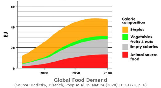Global food demand 1960-2100 Global food demand 1960-2100.