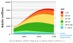 Undernourishment and Body Mass Index 1960-2100. 